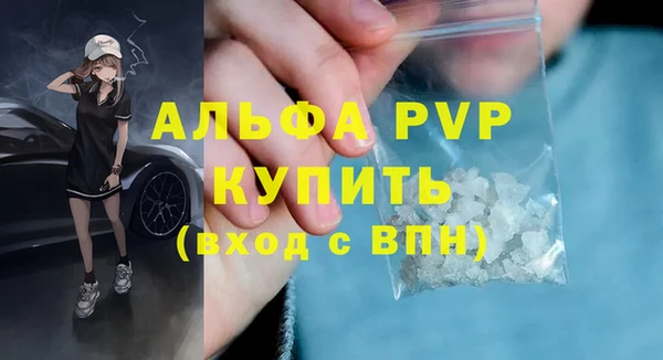 стаф Ладушкин