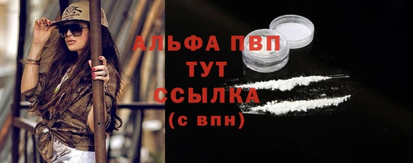 стаф Ладушкин