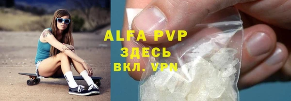 стаф Ладушкин