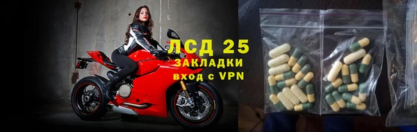 стаф Ладушкин