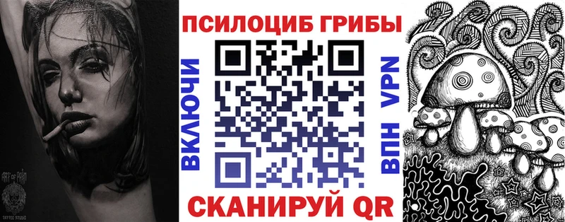 Псилоцибиновые грибы мицелий купить наркоту Озёры